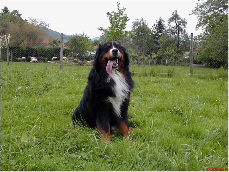 Upium du domaine de la Bodega