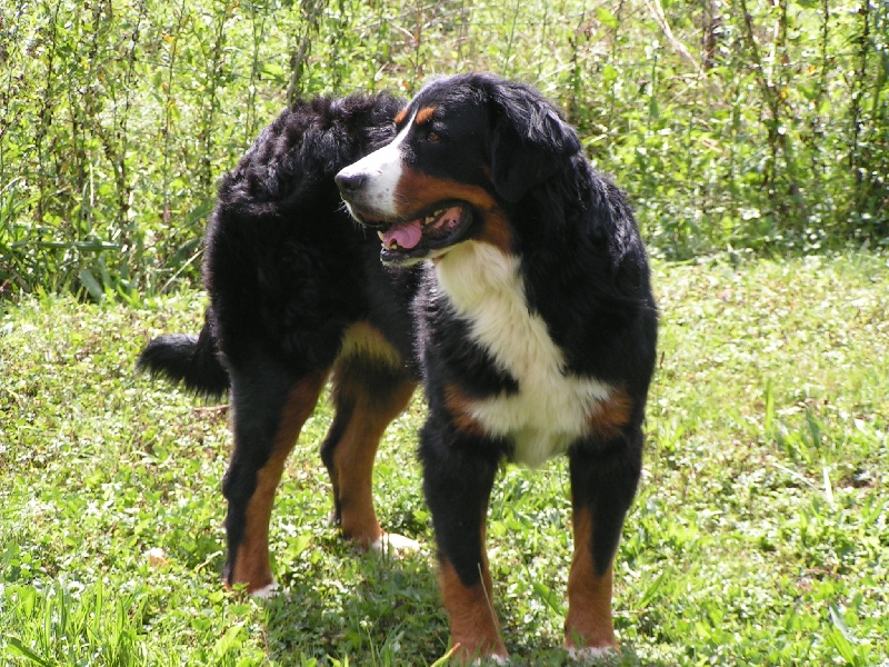 Tiphanie De la truffe en quercy