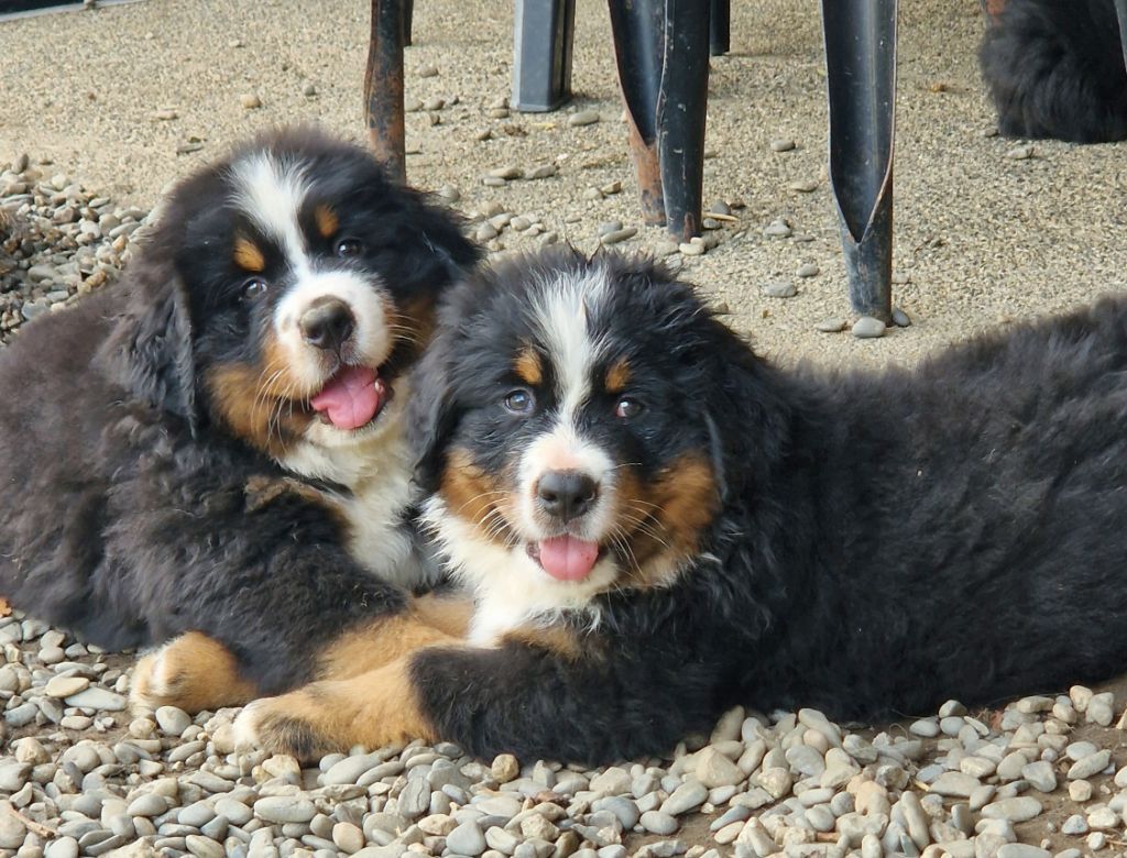 Nouvelles des bébés!