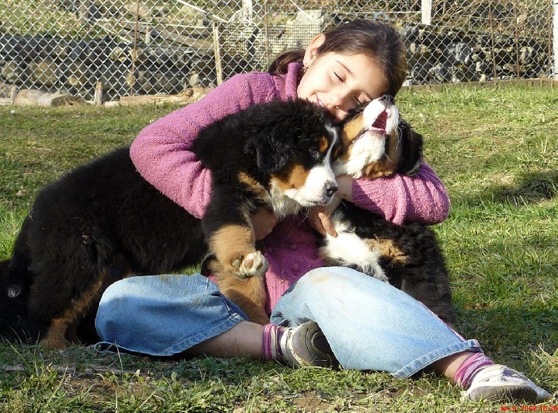 Bébés de USHUAIA et TIPHANIE à 8 et 9 semaines.
