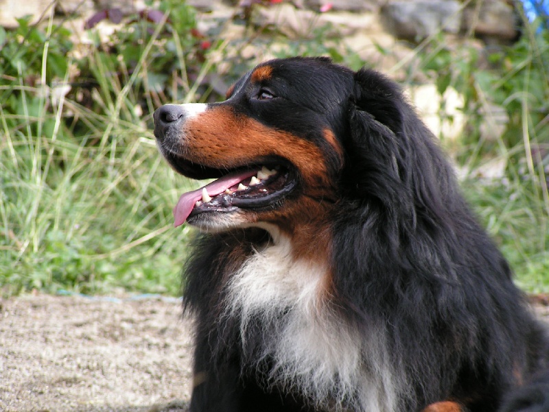 Portrait de Boubous